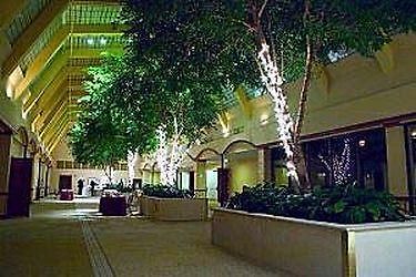 Mockingbird Otel Dallas Dış mekan fotoğraf